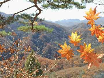 一肖一碼100準(zhǔn)中獎(jiǎng)攻略開封,平衡性策略實(shí)施指導(dǎo)_uShop92.282