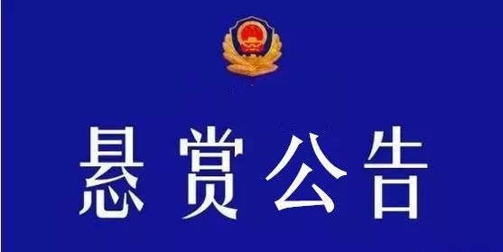 坡頭區(qū)公安局人事大調(diào)整，推動警務(wù)工作邁上新臺階