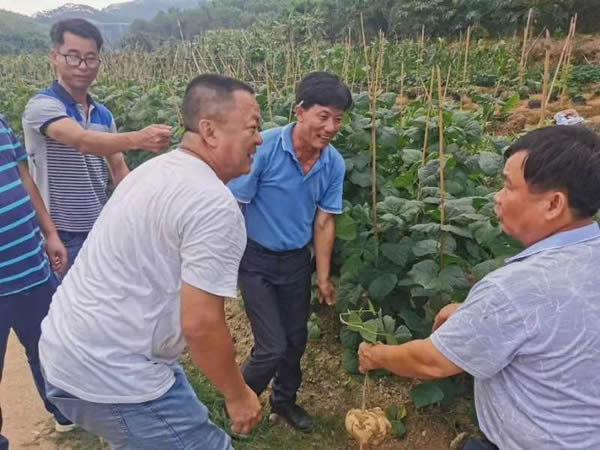 訥河鎮(zhèn)一良苗圃最新動態(tài)報道