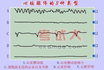 2024年12月18日 第30頁