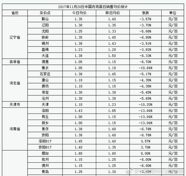 今日苗雞價格行情及分析簡報，最新動態(tài)與市場洞察