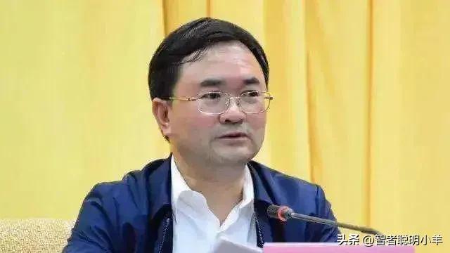 最新云南副省長名單,最新云南副省長名單及其職責(zé)概述