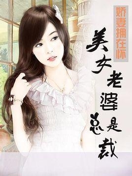 美女總裁老婆，愛(ài)情與權(quán)力的碰撞最新章節(jié)