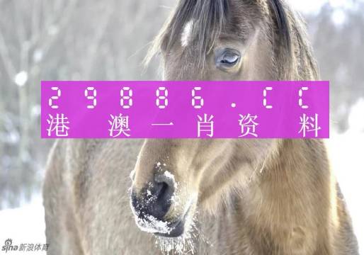 澳門(mén)一肖一碼100%精準(zhǔn)王中王｜最新答案解釋落實(shí)