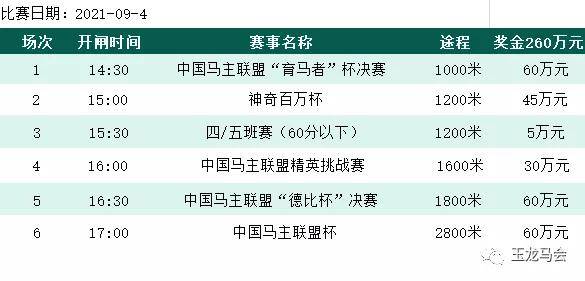 2024年9點30開特馬｜全面貫徹解釋落實