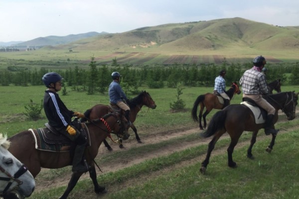 今天澳門特馬開的什么｜最佳精選解釋落實