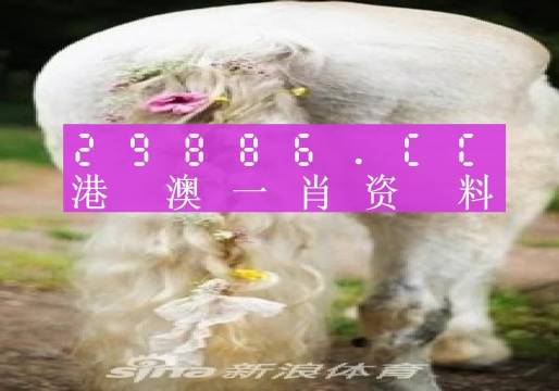 澳門王中王100的資料2023｜構(gòu)建解答解釋落實