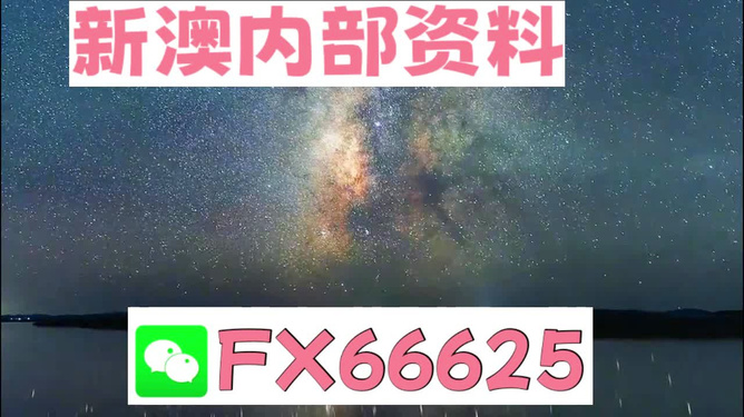 新澳天天彩免費資料大全特色,實踐說明解析_創(chuàng)意版2.844