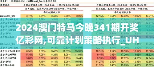 2024澳門特馬最準(zhǔn)網(wǎng)站,精細(xì)化計劃執(zhí)行_FHD57.209