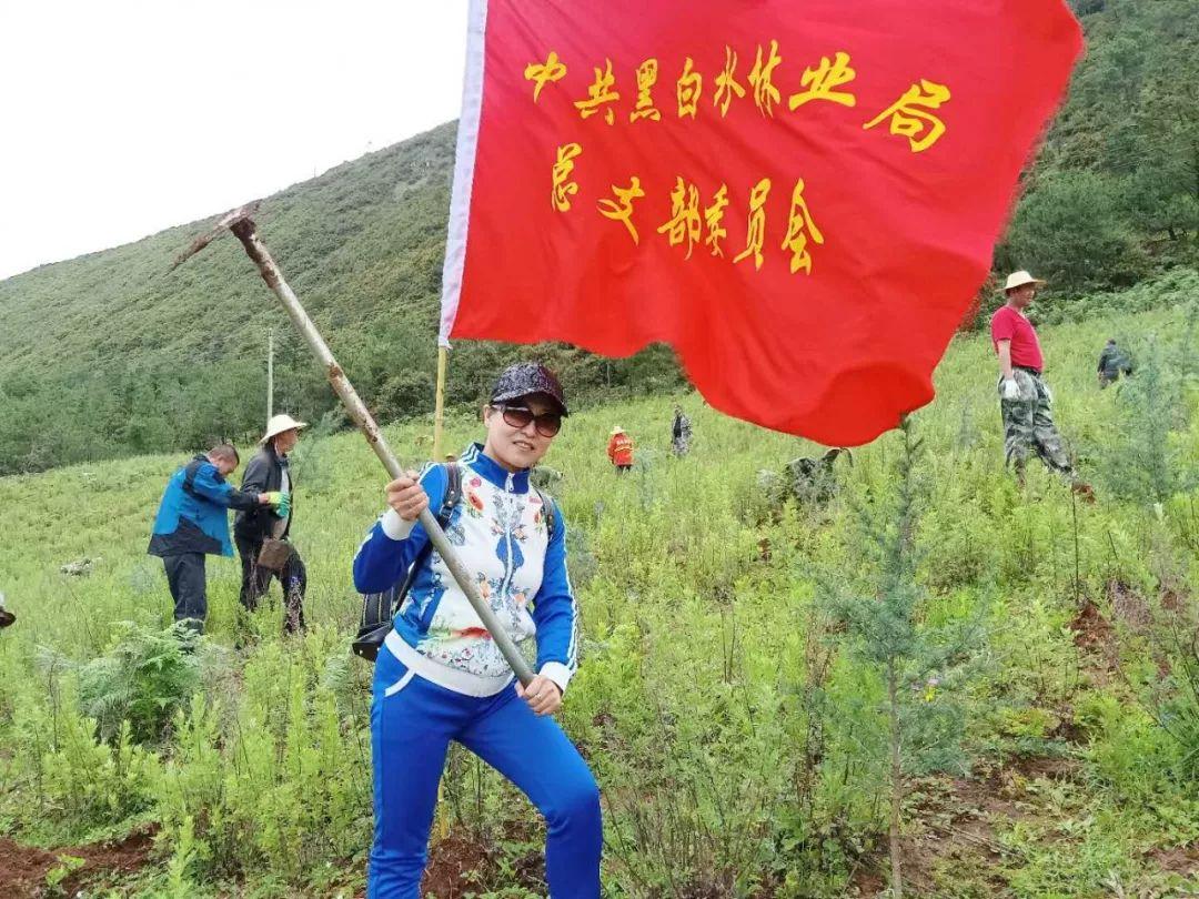 建新林場發(fā)展規(guī)劃揭秘，邁向綠色可持續(xù)發(fā)展之路