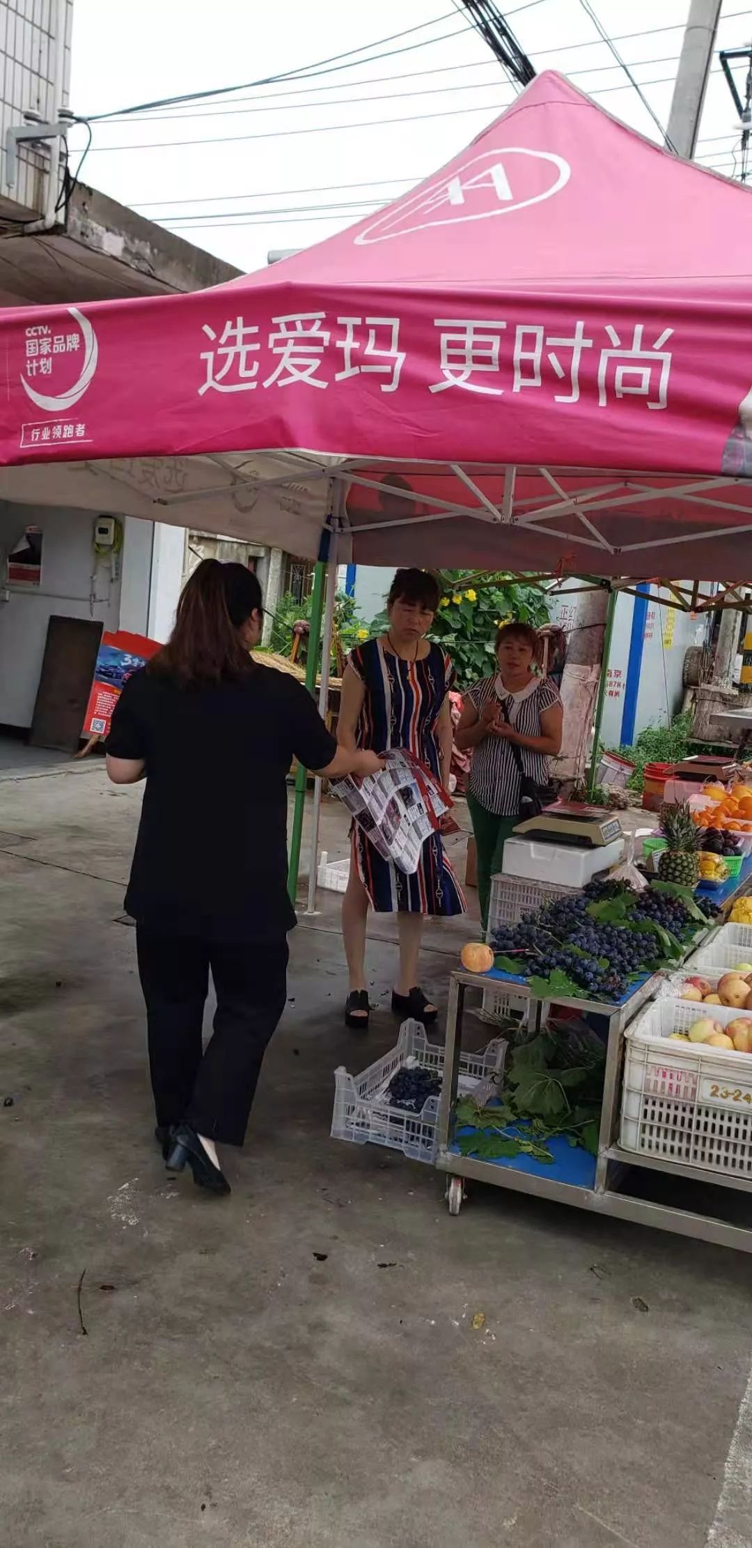 江蘇濱海港邁向繁榮與進(jìn)步，港口建設(shè)新篇章動(dòng)態(tài)更新