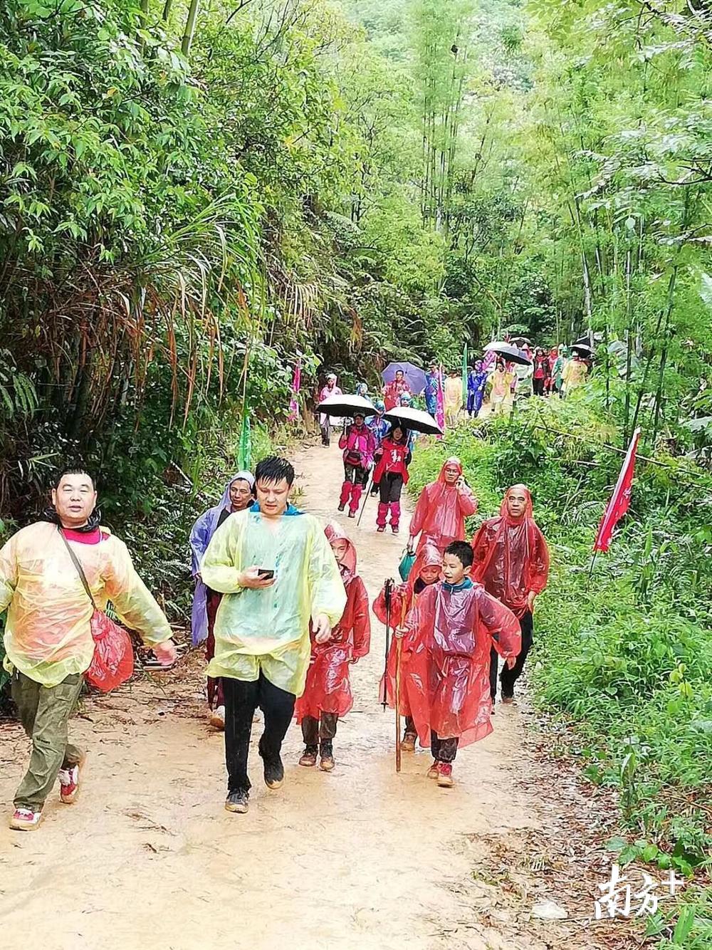 佛岡加多寶最新招聘動(dòng)態(tài)及其影響，崗位空缺與人才吸引分析