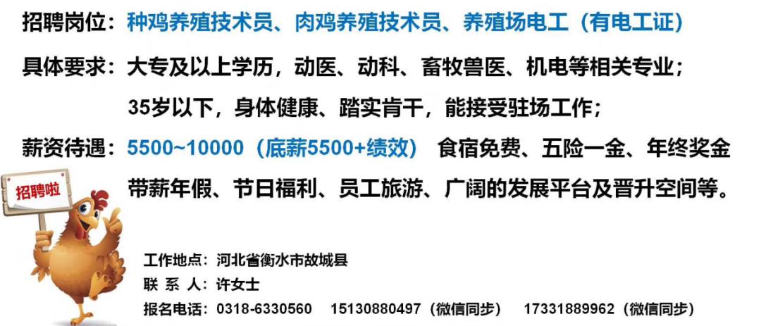 最新豬場技術(shù)員招聘啟事，攜手共筑行業(yè)未來，打造專業(yè)團隊