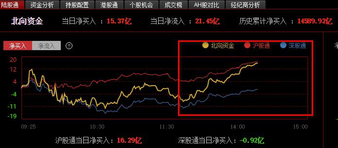 關(guān)于代碼300465的最新消息全面解析與動態(tài)更新報告