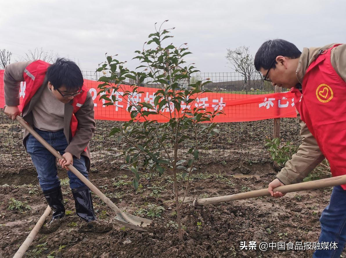 湖州雙林最新規(guī)劃，塑造未來城市典范的藍(lán)圖揭秘