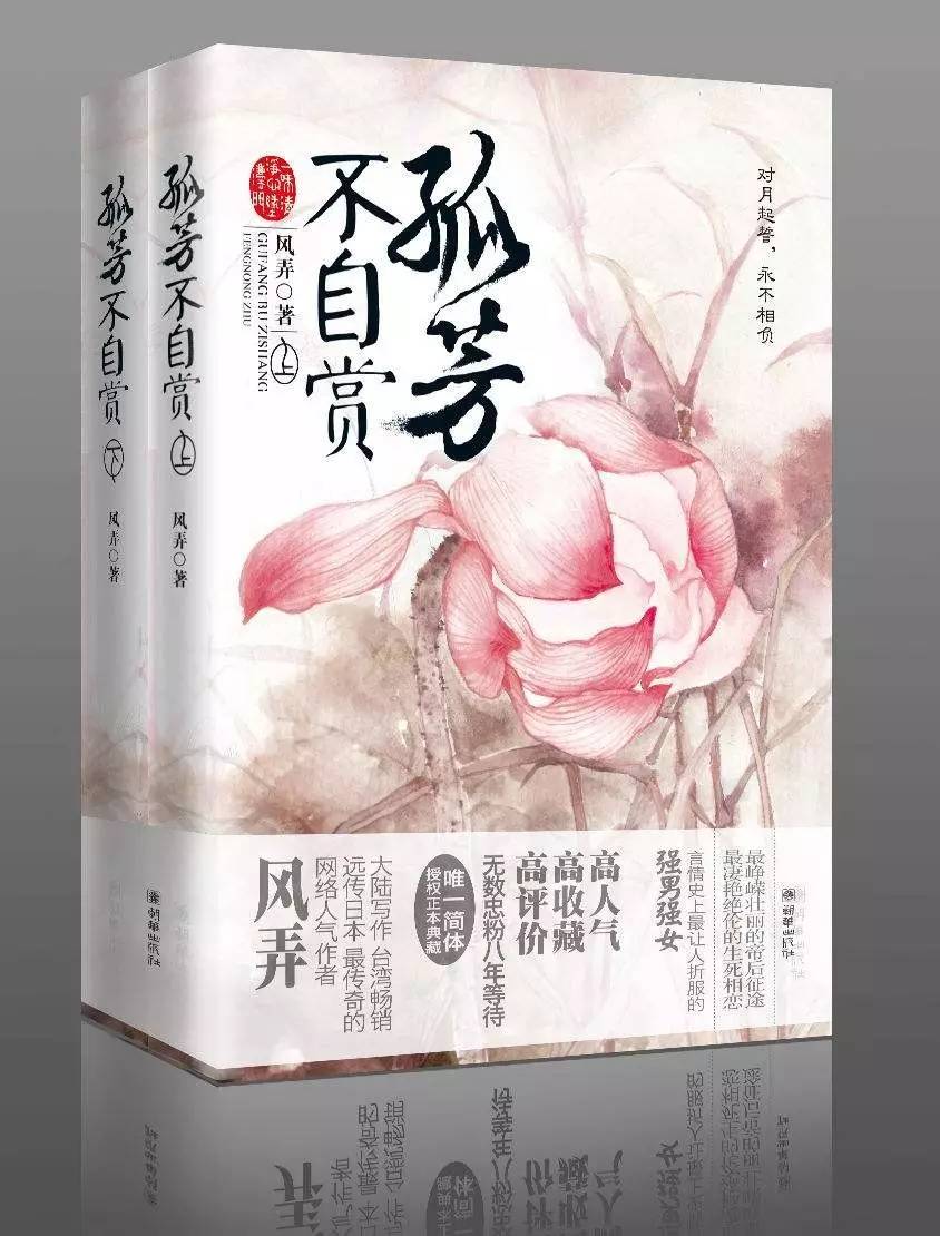 風(fēng)弄最新作品揭秘，情感與命運(yùn)的深度交織之路