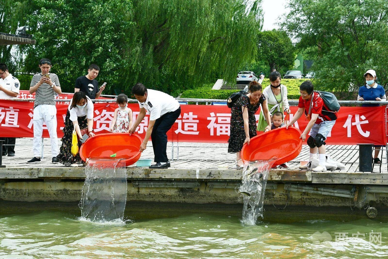 西安放魚活動，生態(tài)修復(fù)與休閑活動的完美結(jié)合，最新放魚信息一覽