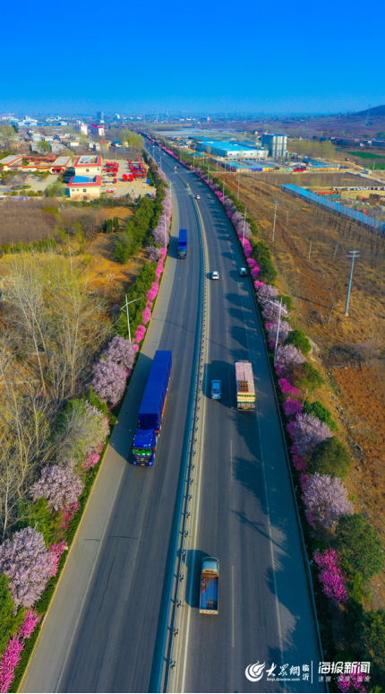 龍子湖區(qū)公路運輸管理事業(yè)單位最新資訊