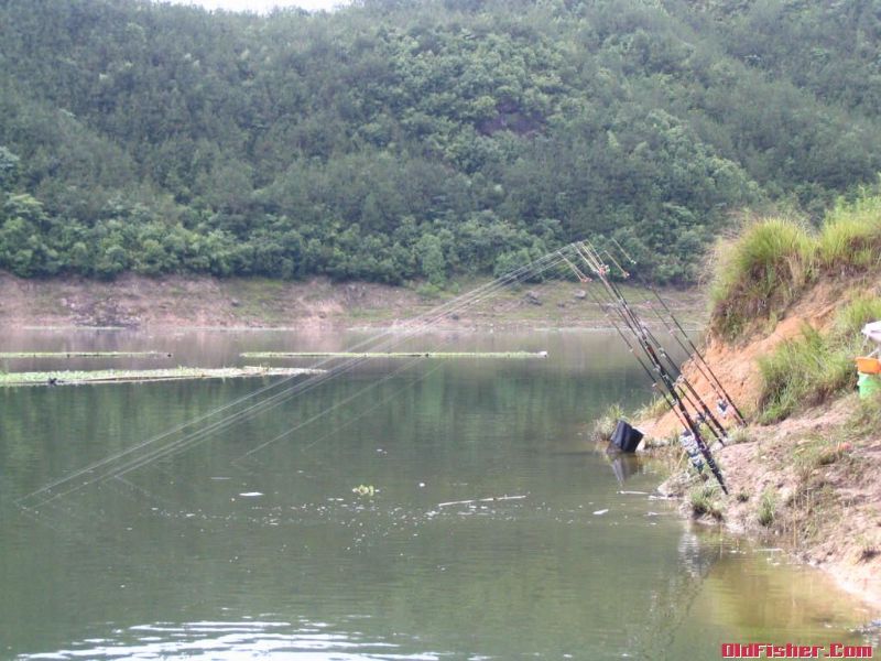 緊水灘釣魚最新動(dòng)態(tài)，探索釣魚新動(dòng)向與熱點(diǎn)資訊