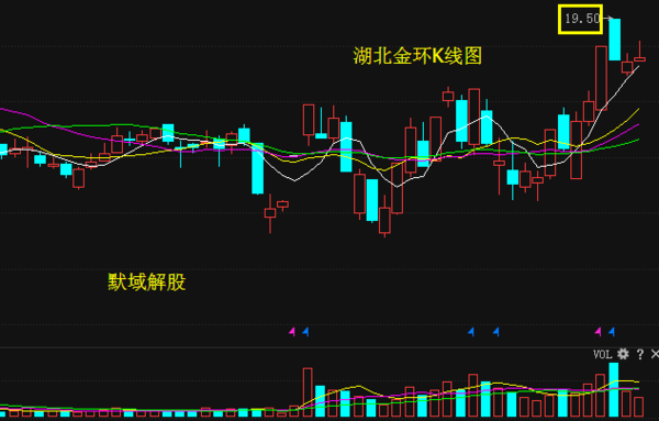 湖北金環(huán)最新消息全面解讀與分析