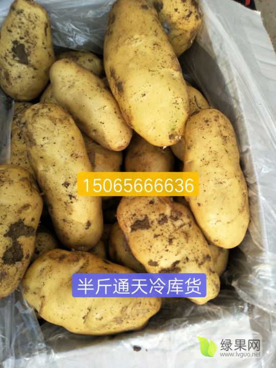 安丘土豆價(jià)格最新行情,安丘土豆價(jià)格最新行情分析