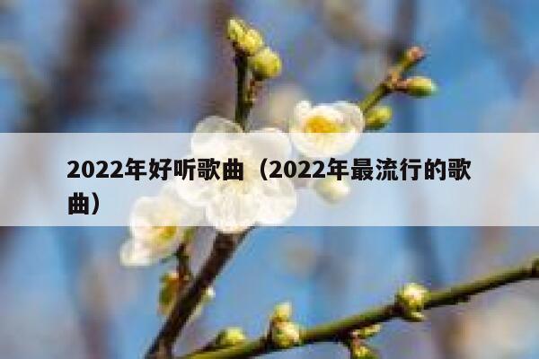 流行歌曲的魅力與變遷，2022最新款回顧