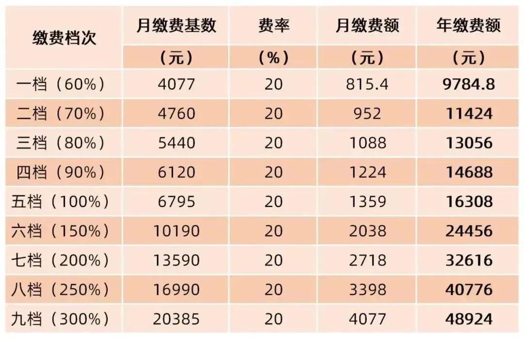 湖北菜籽價(jià)格今日行情及影響因素分析