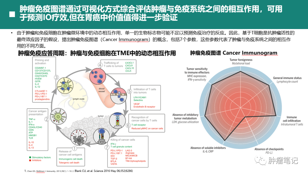 癌癥治療最新研究進展揭秘，科學突破助力抗癌之戰(zhàn)