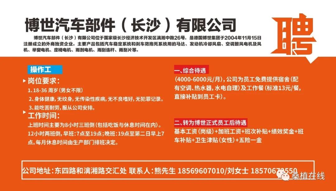 沙市最新招聘信息與職業(yè)發(fā)展機(jī)遇揭秘